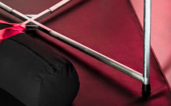 Frame Bottom Branch
