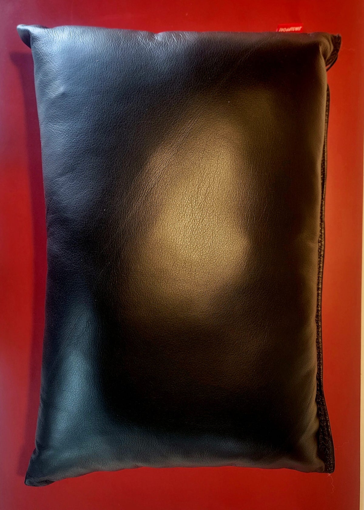 Leather Pillow