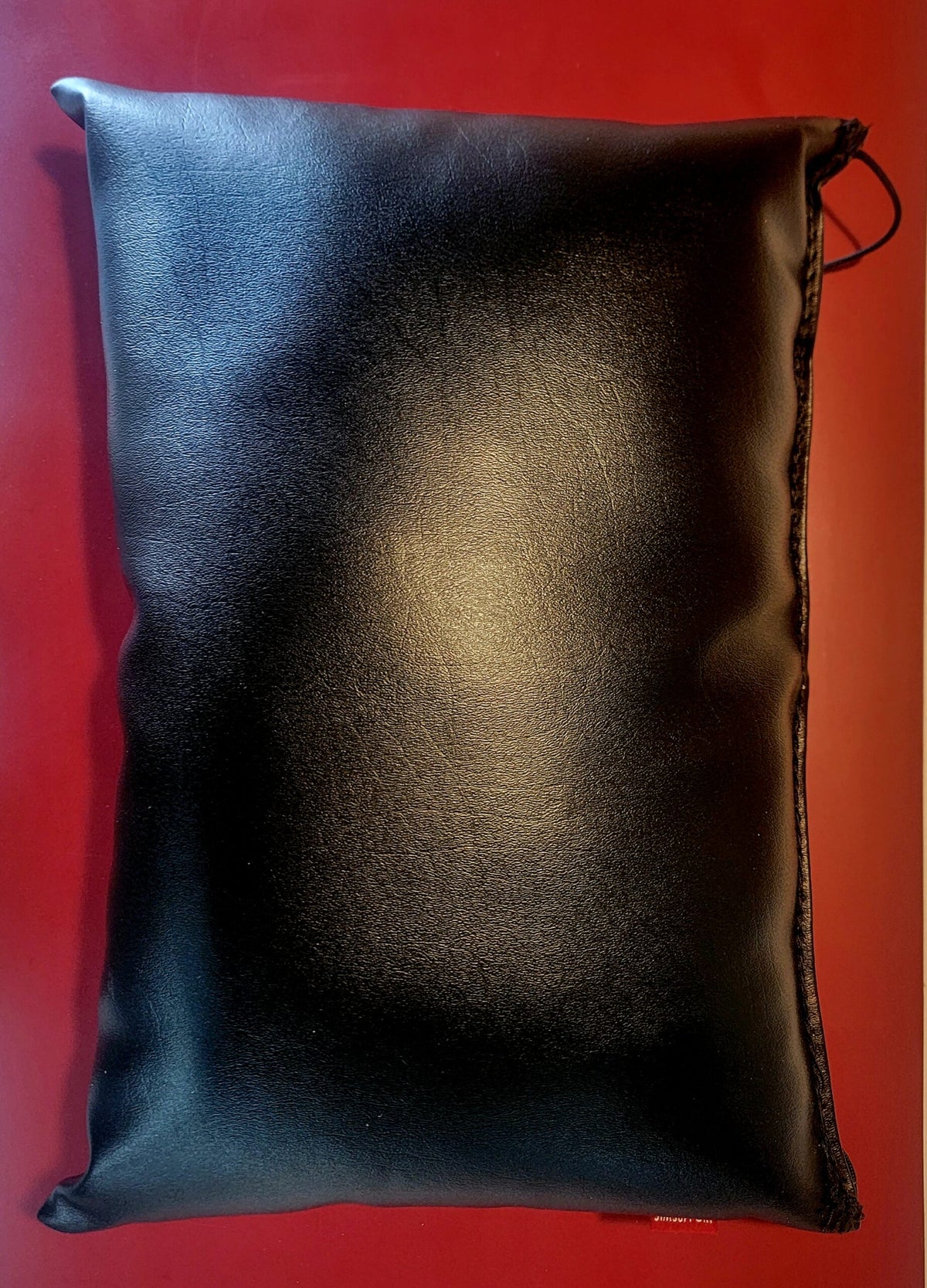 Vinyl Pillow